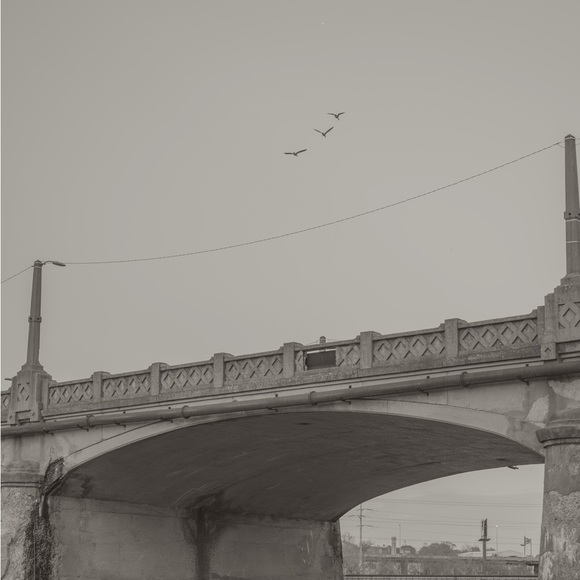 Meet your Posher, Samantha - Picture 15 of 17